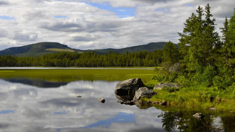 Spegelblank insjö en lugn sommardag.